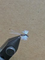 IMG_2797.jpeg