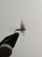 IMG_0362.jpeg