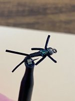 IMG_5263.jpeg