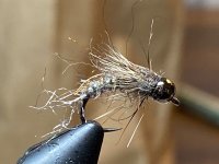 IMG_5273.jpeg