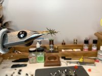 IMG_0219.jpeg