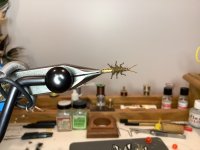 IMG_0220.jpeg
