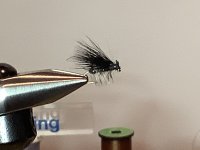 IMG_0223.jpeg
