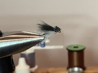 IMG_0224.jpeg