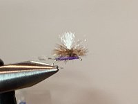 IMG_0225.jpeg