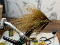 IMG_5284.jpeg