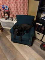 IMG_4241.jpeg