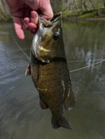 IMG_6202.jpeg