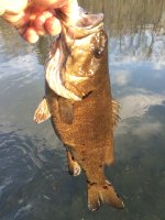 IMG_1670.jpeg