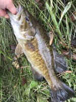 IMG_7842.jpeg
