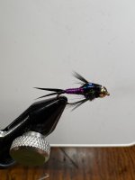 IMG_0390.jpeg