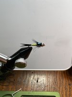 IMG_0388.jpeg