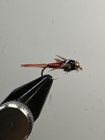 IMG_0383.jpeg