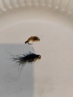 IMG_20260404_183245209.jpg