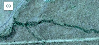 20260411_145519.jpg