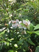 IMG_0098.JPG