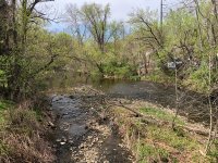 IMG_7435.JPEG