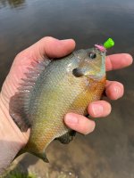 IMG_1799.jpeg