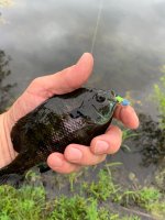 IMG_0139.jpeg