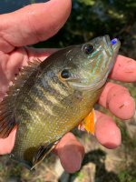 IMG_5949.jpeg