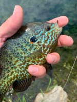 IMG_5932.jpeg