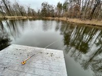 IMG_1290.jpeg
