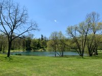 IMG_5204.jpeg