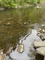 IMG_5346.jpeg