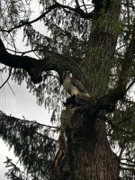 IMG_9641.jpeg IMG_9641.jpeg