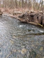 Broadhead 4-24-26 (2).jpg