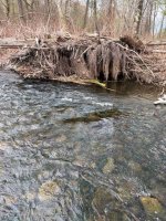 Broadhead 4-24-26.jpg