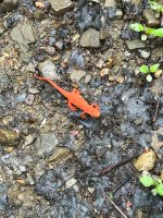 IMG_0189.jpeg