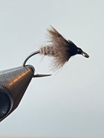 IMG_0557.jpeg