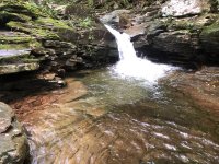 IMG_1438.JPEG