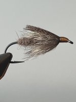 IMG_0564.jpeg