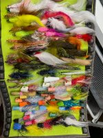 IMG_2928.jpeg