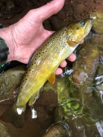 IMG_2027.JPEG