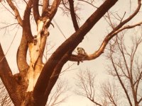 IMG_0622.JPEG