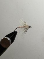 IMG_0538.jpeg
