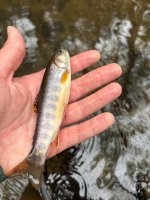 IMG_7672.jpeg