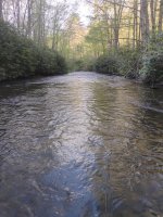 IMG_20260516_074820606.jpg
