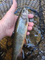 IMG_20260516_072611623.jpg