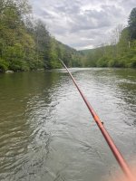 IMG_8518.jpeg