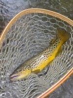 20260515_124757.jpg