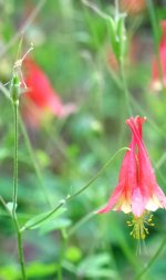 DSCF5179.jpg