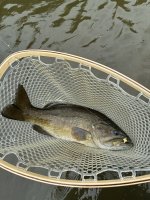 IMG_2865.jpeg