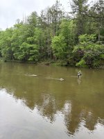 IMG_2625.jpeg