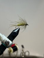 IMG_7733.jpeg