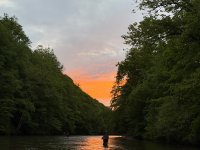 IMG_4847.jpeg