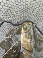 IMG_6275.jpeg